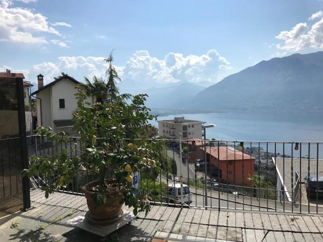 Casa Franceschini Apartment Locarno Exterior photo